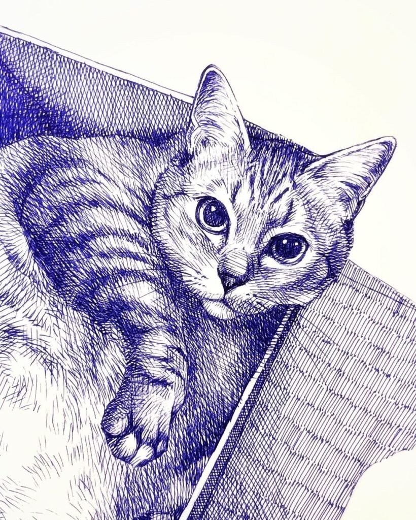 Cat_zoom_infographic