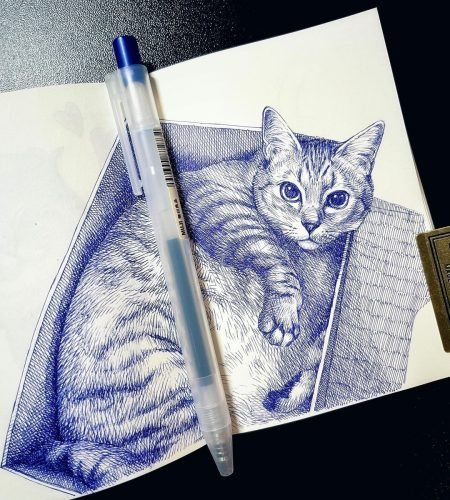 PEN-CAT
